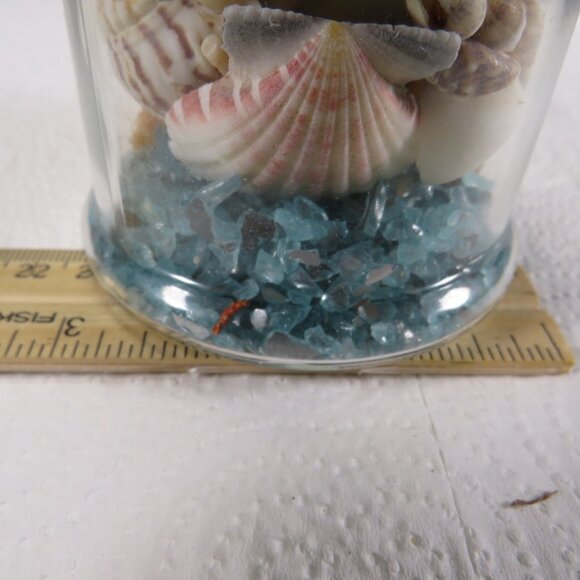 REAL sea shells in a New Glass Jar w seal & lid 5.75" tall (1+ pounds) - Picture 10 of 14